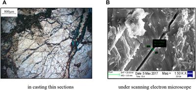 Progress on Modeling of Dynamic Productivity of Fractured Gas Condensate Reservoir Based on a Fluid-Solid Coupling Method